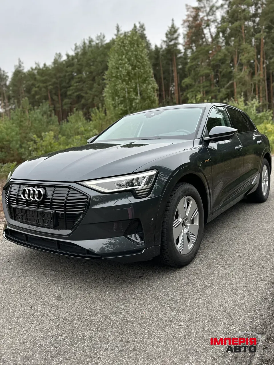 Audi e-tron - фото 5