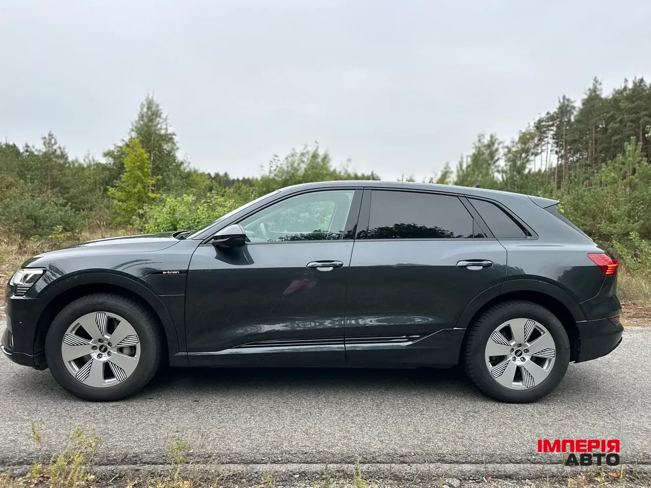 Audi e-tron - фото 9