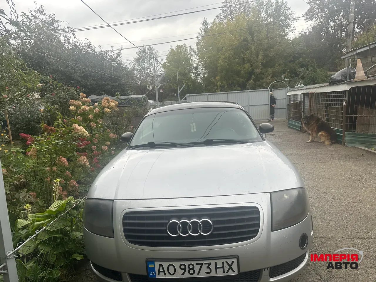 Audi TT - фото 2