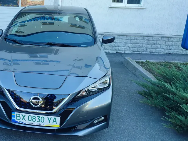 Nissan Leaf - фото 1