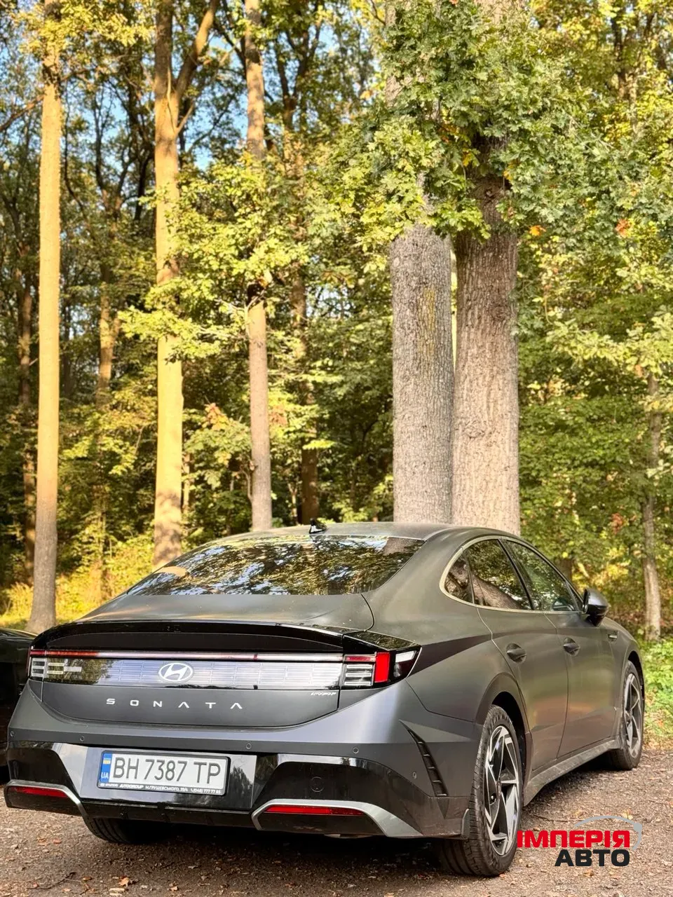 Hyundai Sonata - фото 4