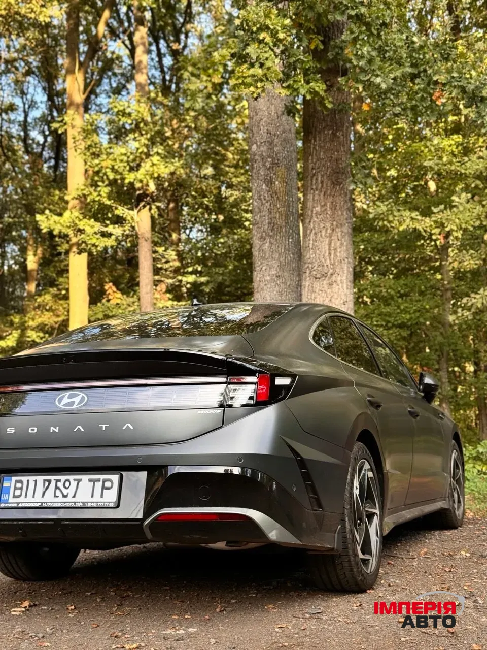 Hyundai Sonata - фото 11