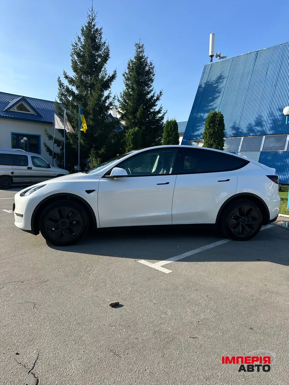 Tesla Model Y - фото 3