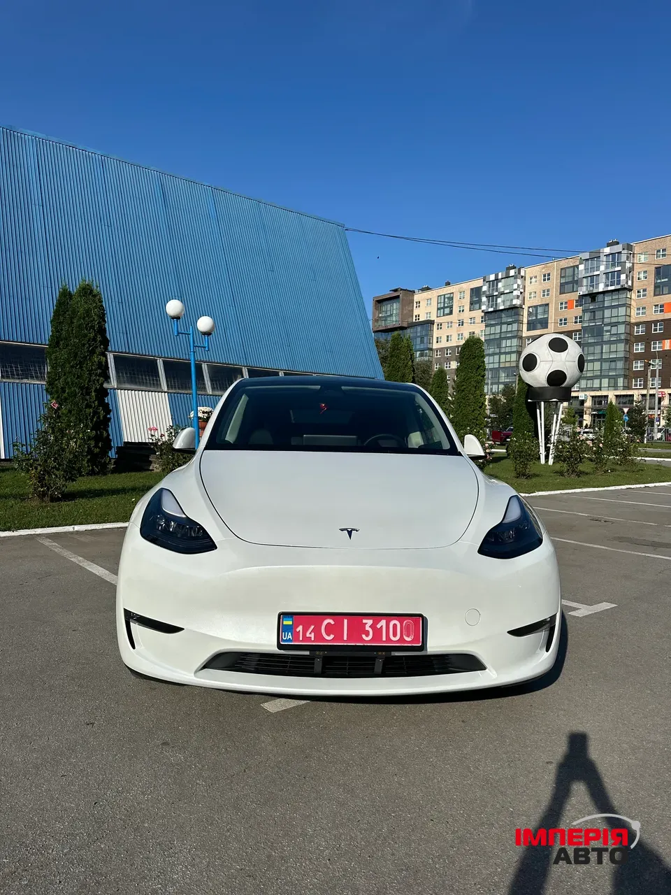 Tesla Model Y - фото 10