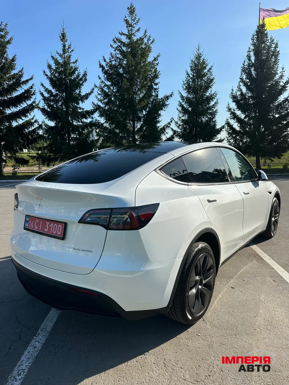 Tesla Model Y - фото 6