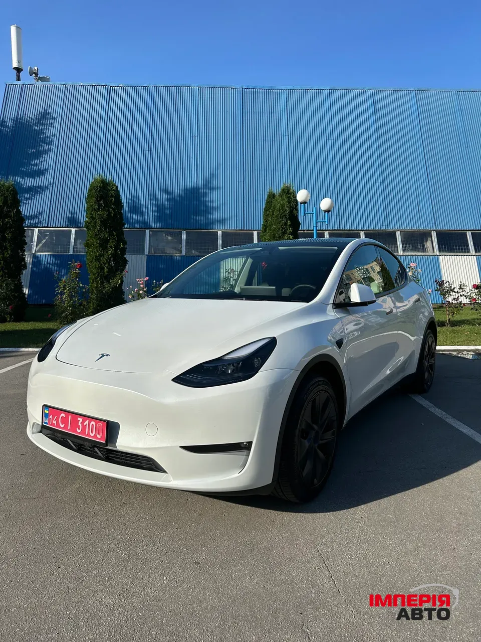 Tesla Model Y - фото 1