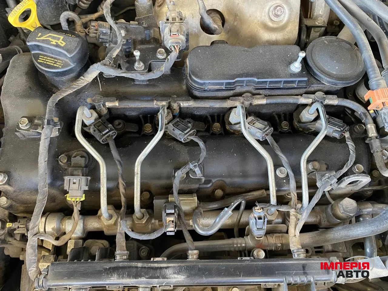 Kia Sorento - фото 35