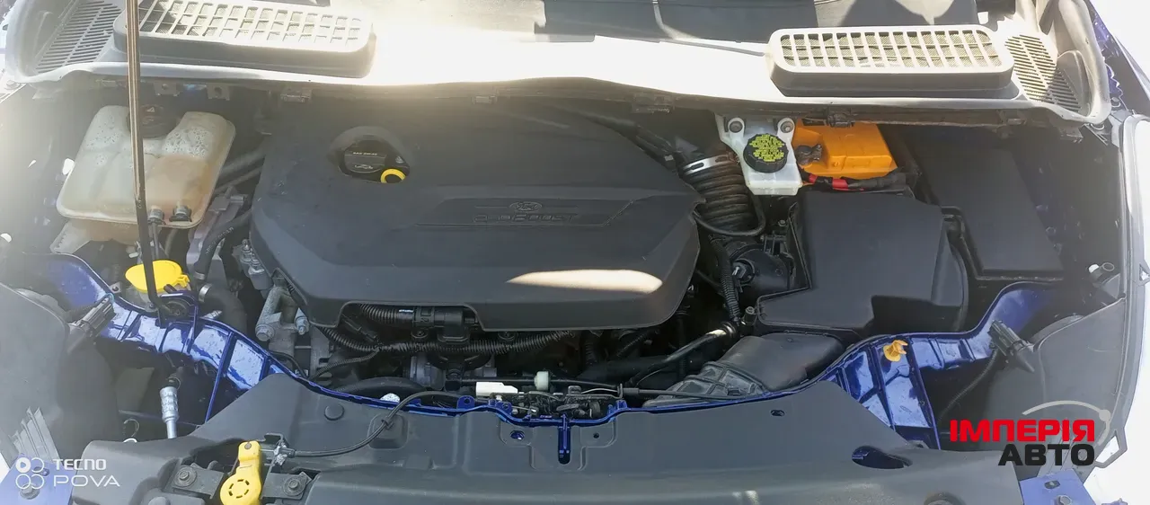 Ford Escape - фото 14