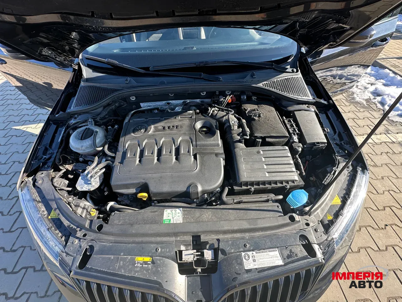 Skoda Octavia RS - фото 22