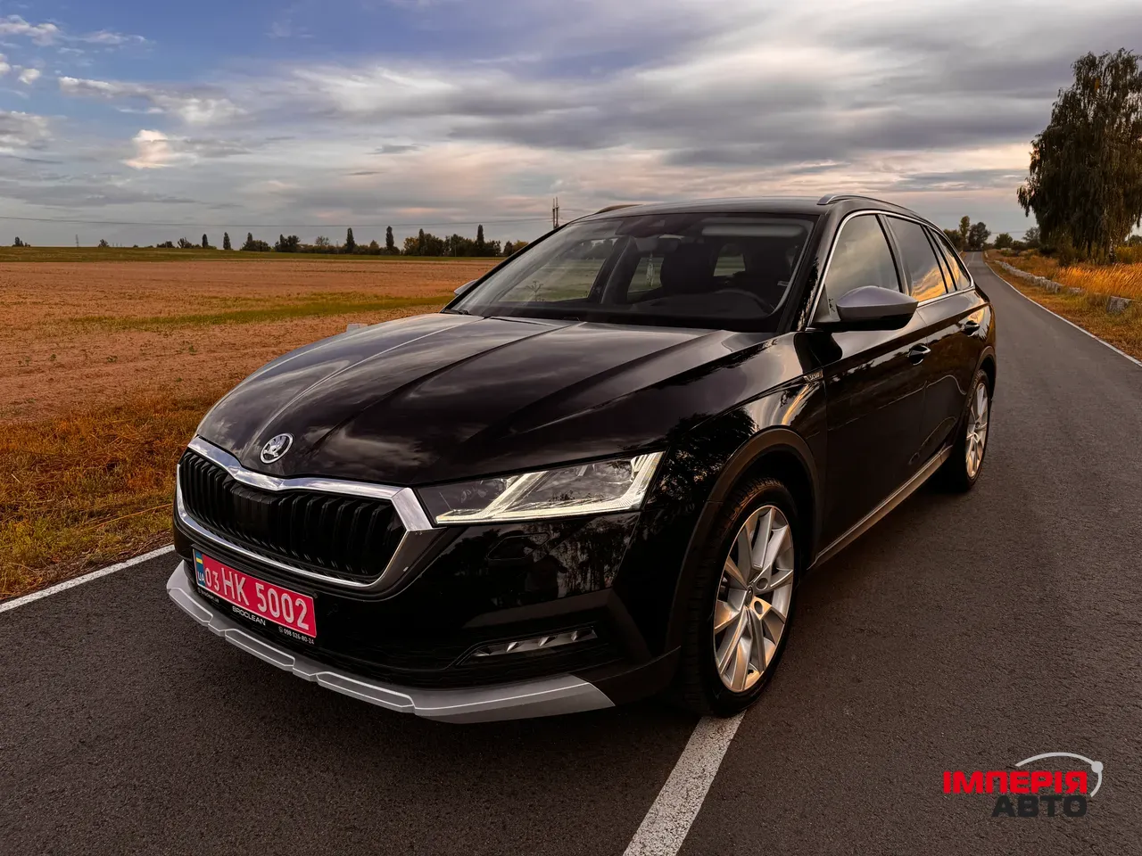 Skoda Octavia - фото 1