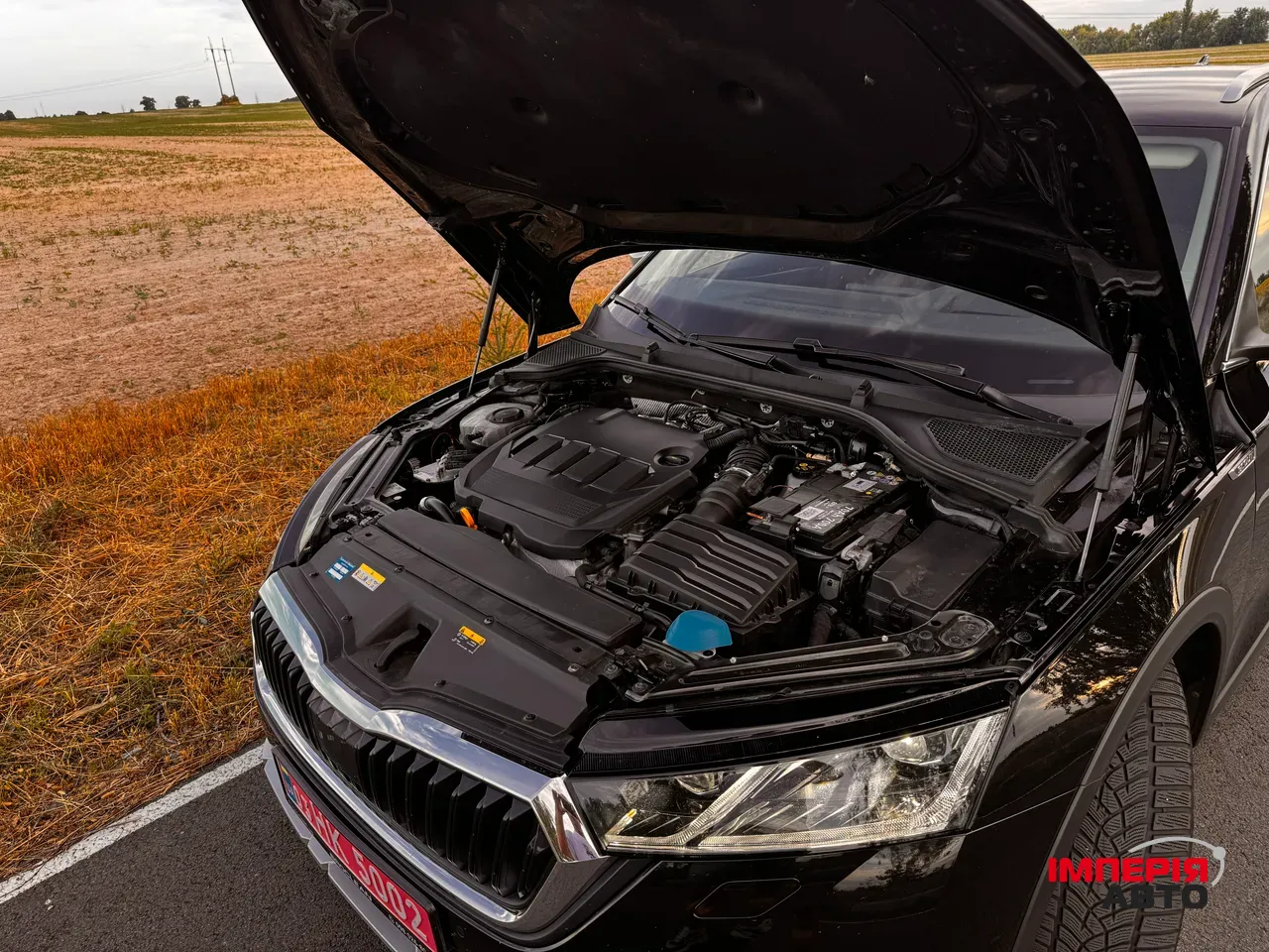 Skoda Octavia - фото 48