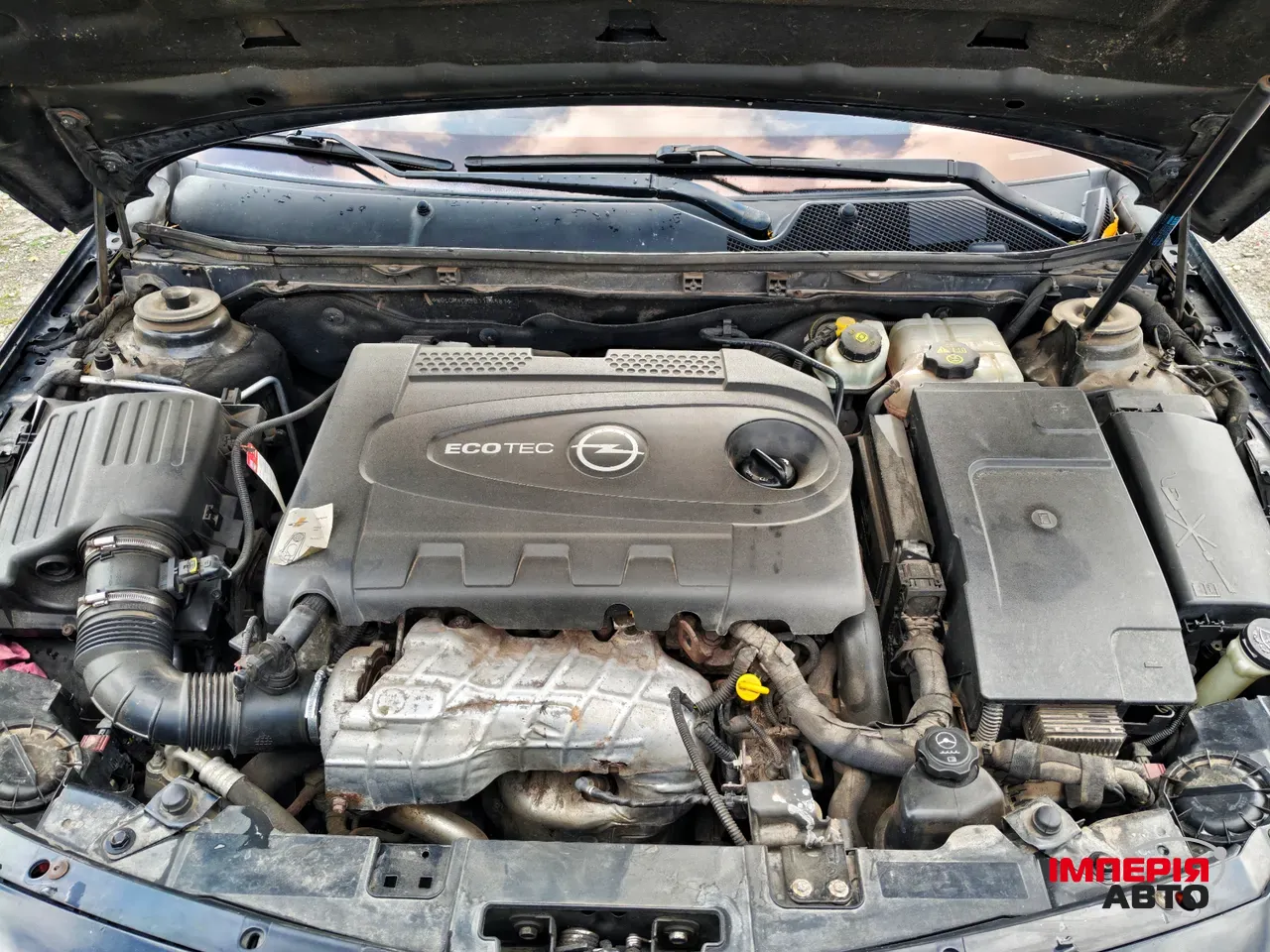 Opel Insignia - фото 13