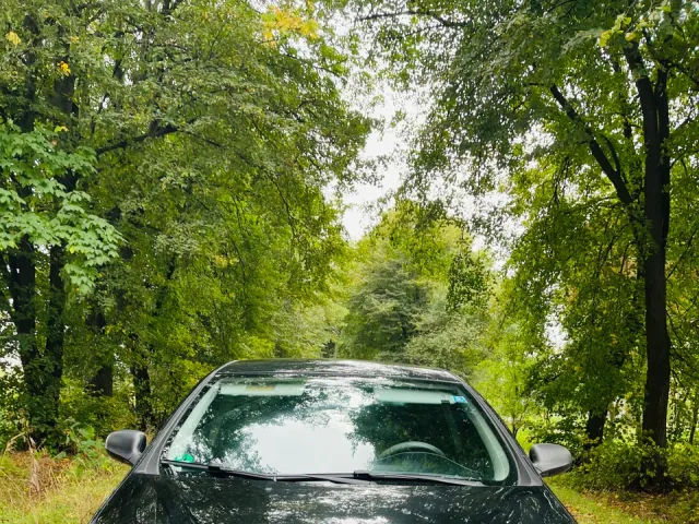 Fiat Bravo - фото 2