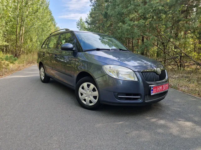 Skoda Fabia - фото 1