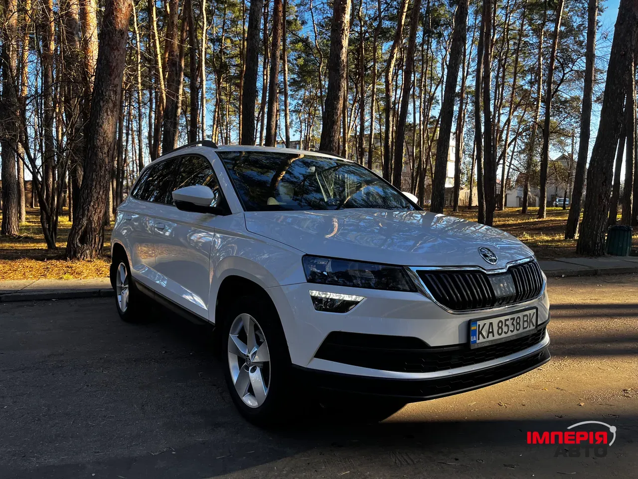 Skoda Karoq - фото 1