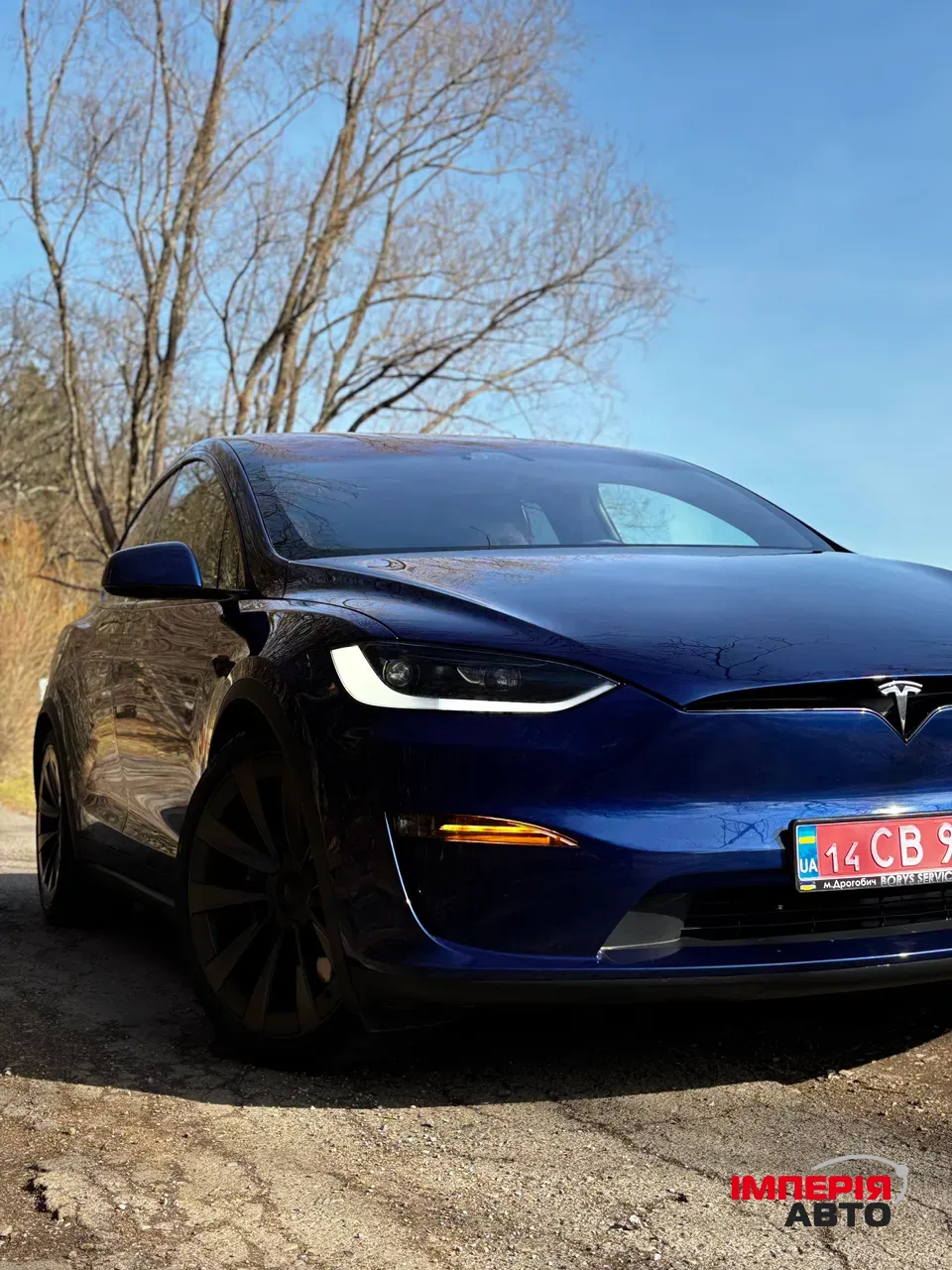Tesla Model X - фото 1