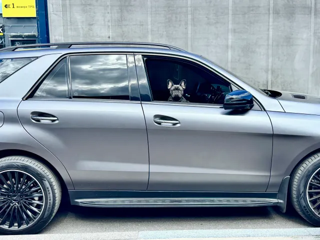 Mercedes-Benz GLE - фото 1