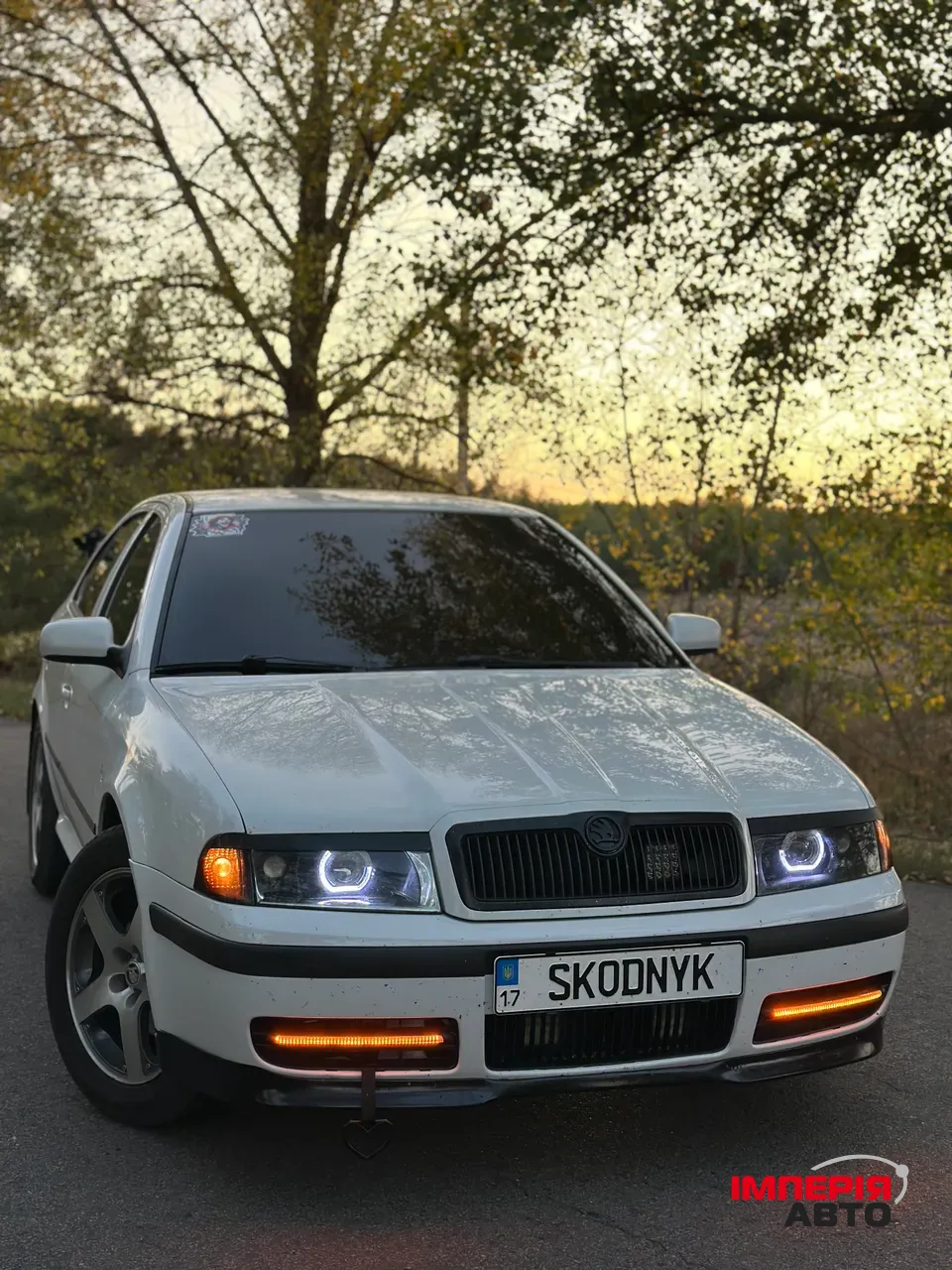 Skoda Octavia - фото 1