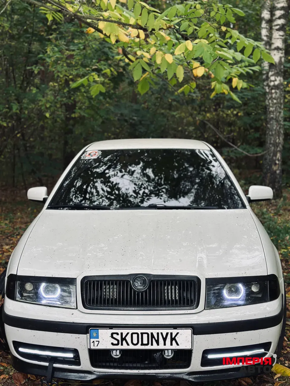 Skoda Octavia - фото 4