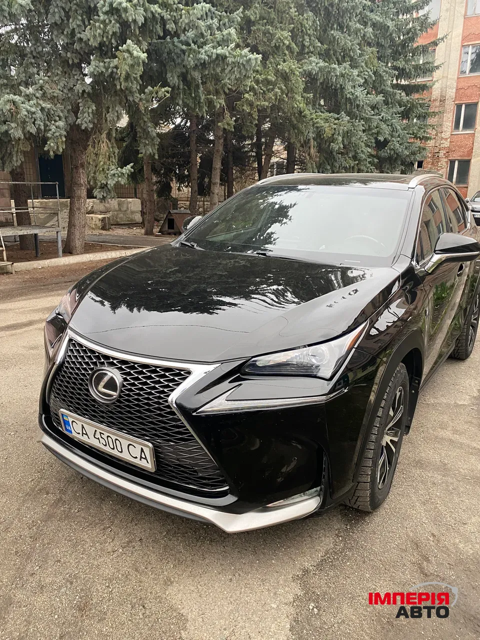 Lexus NX - фото 8