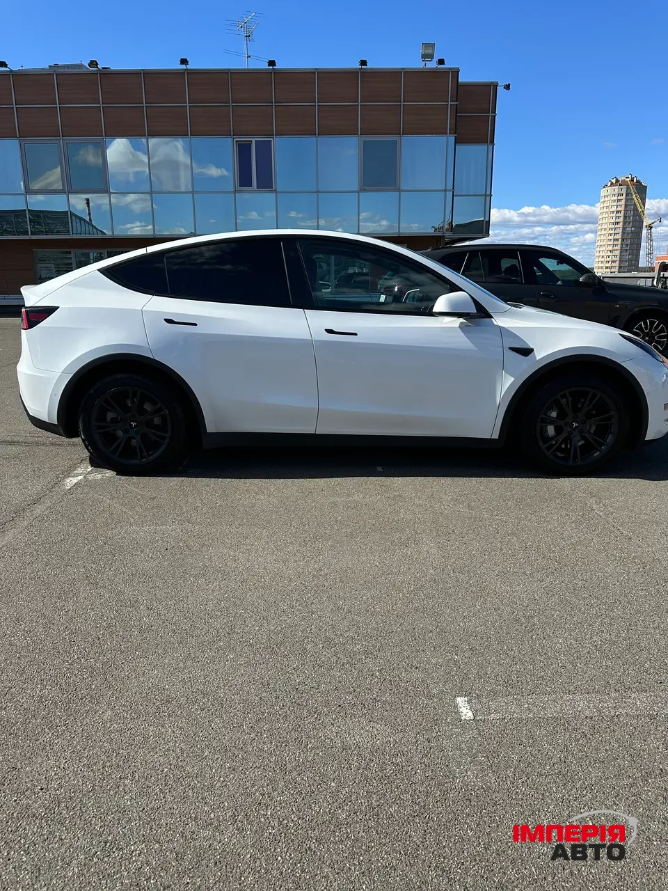 Tesla Model Y - фото 3