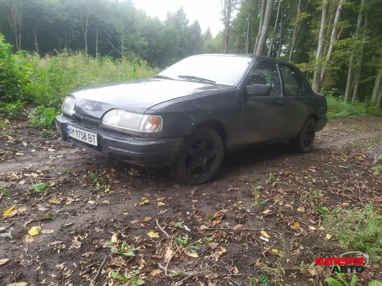 Ford Sierra - фото 1