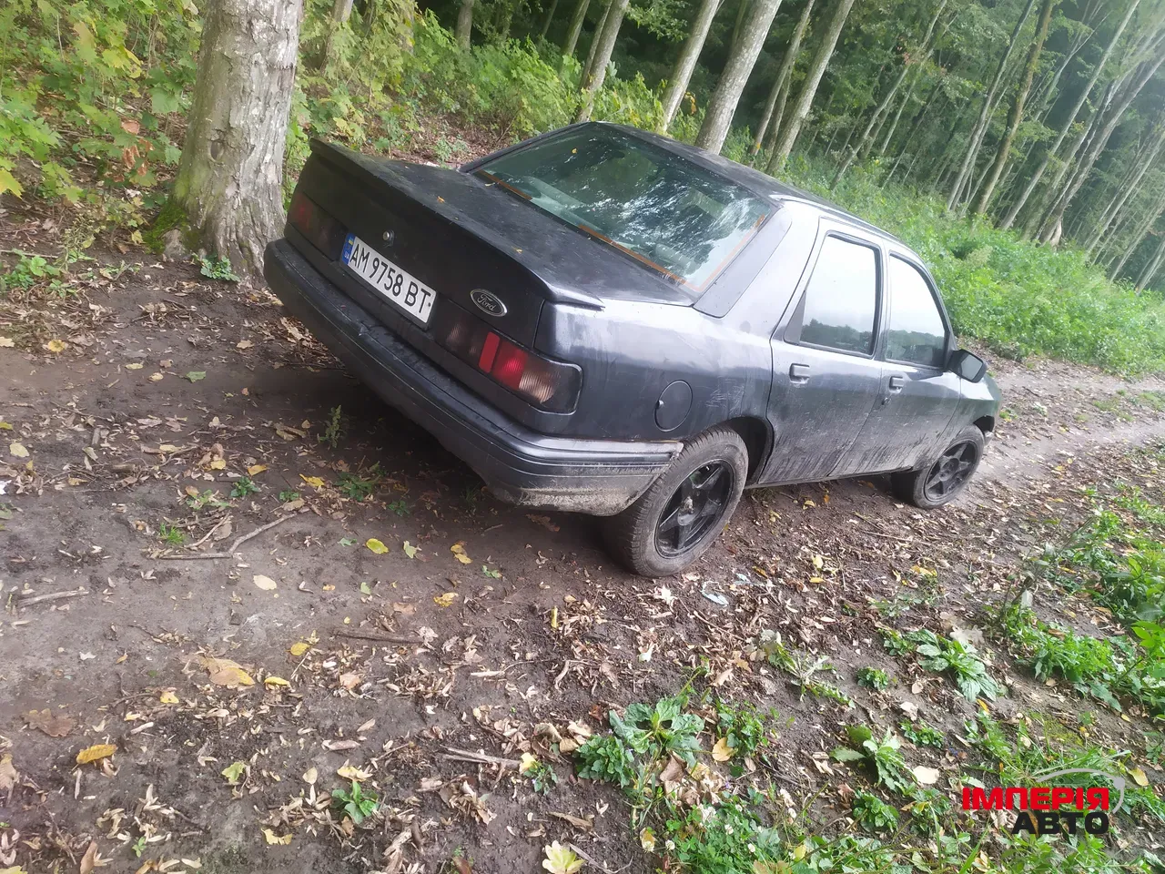 Ford Sierra - фото 4