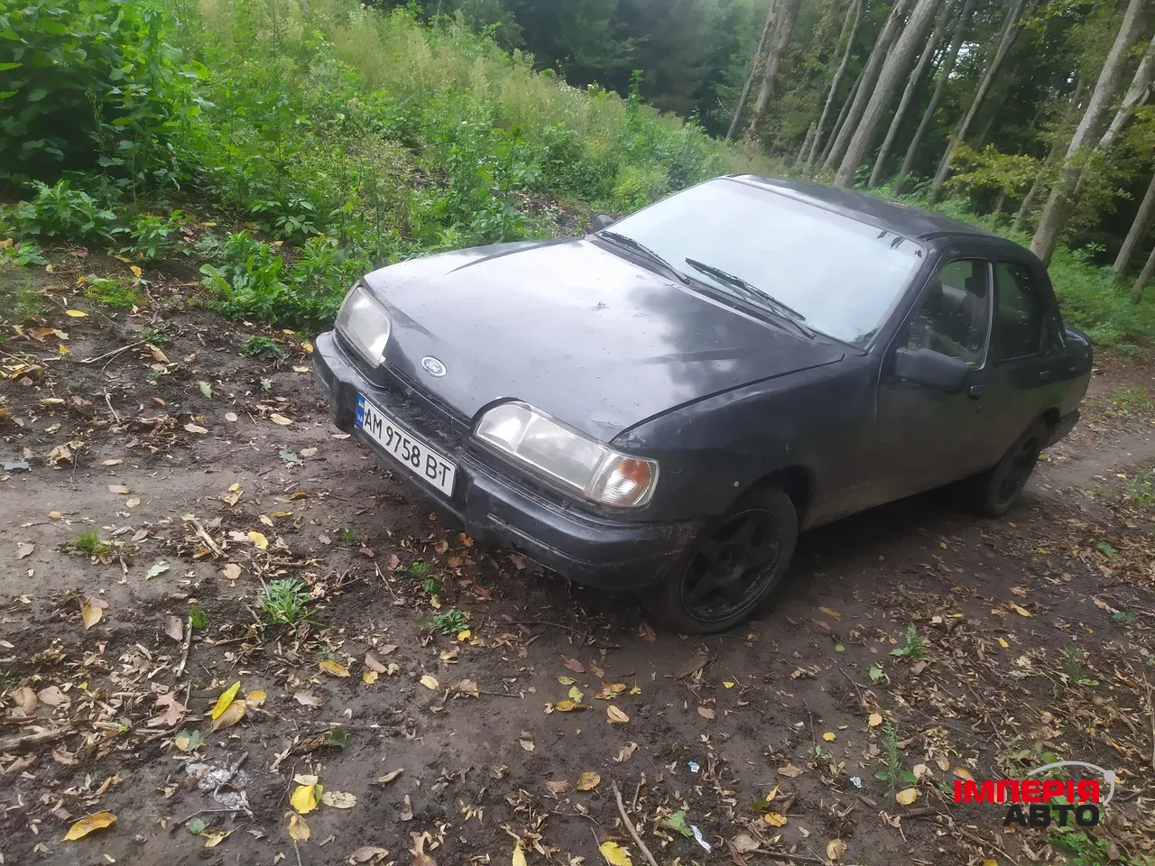 Ford Sierra - фото 8