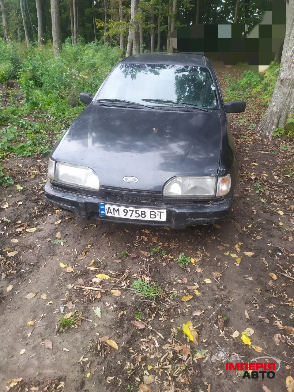 Ford Sierra - фото 2