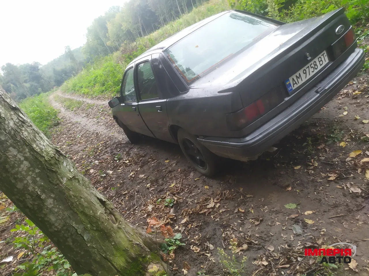 Ford Sierra - фото 3