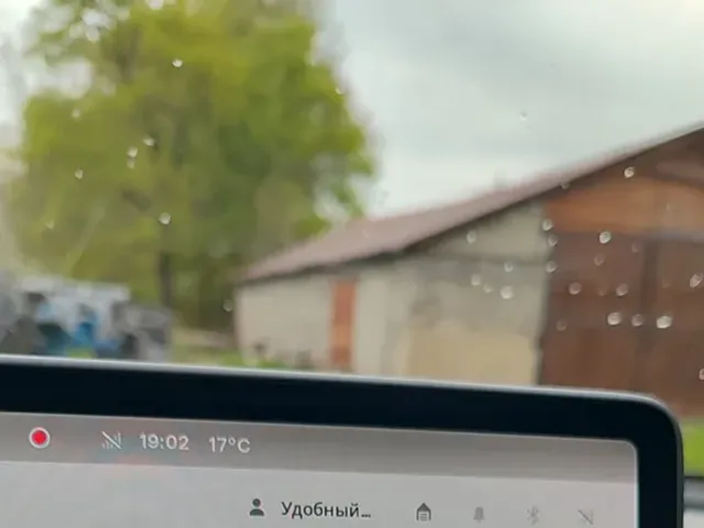 Tesla Model 3 - фото 2