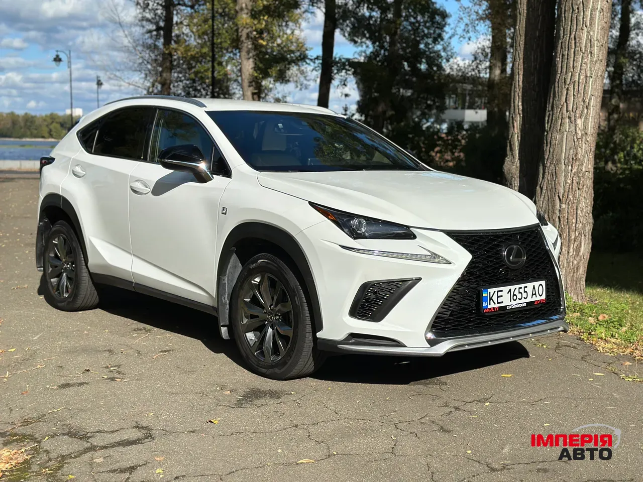 Lexus NX - фото 8