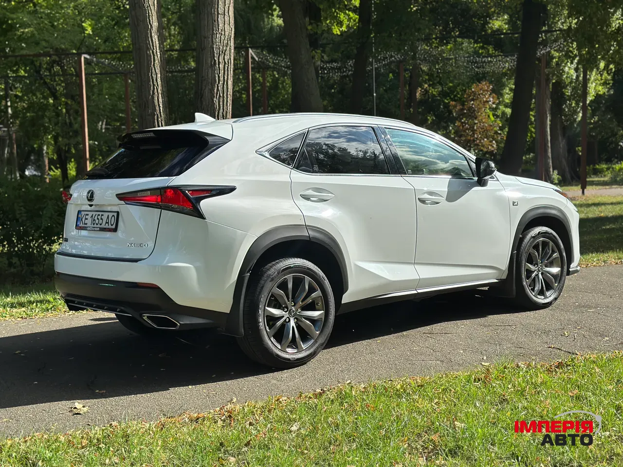 Lexus NX - фото 6