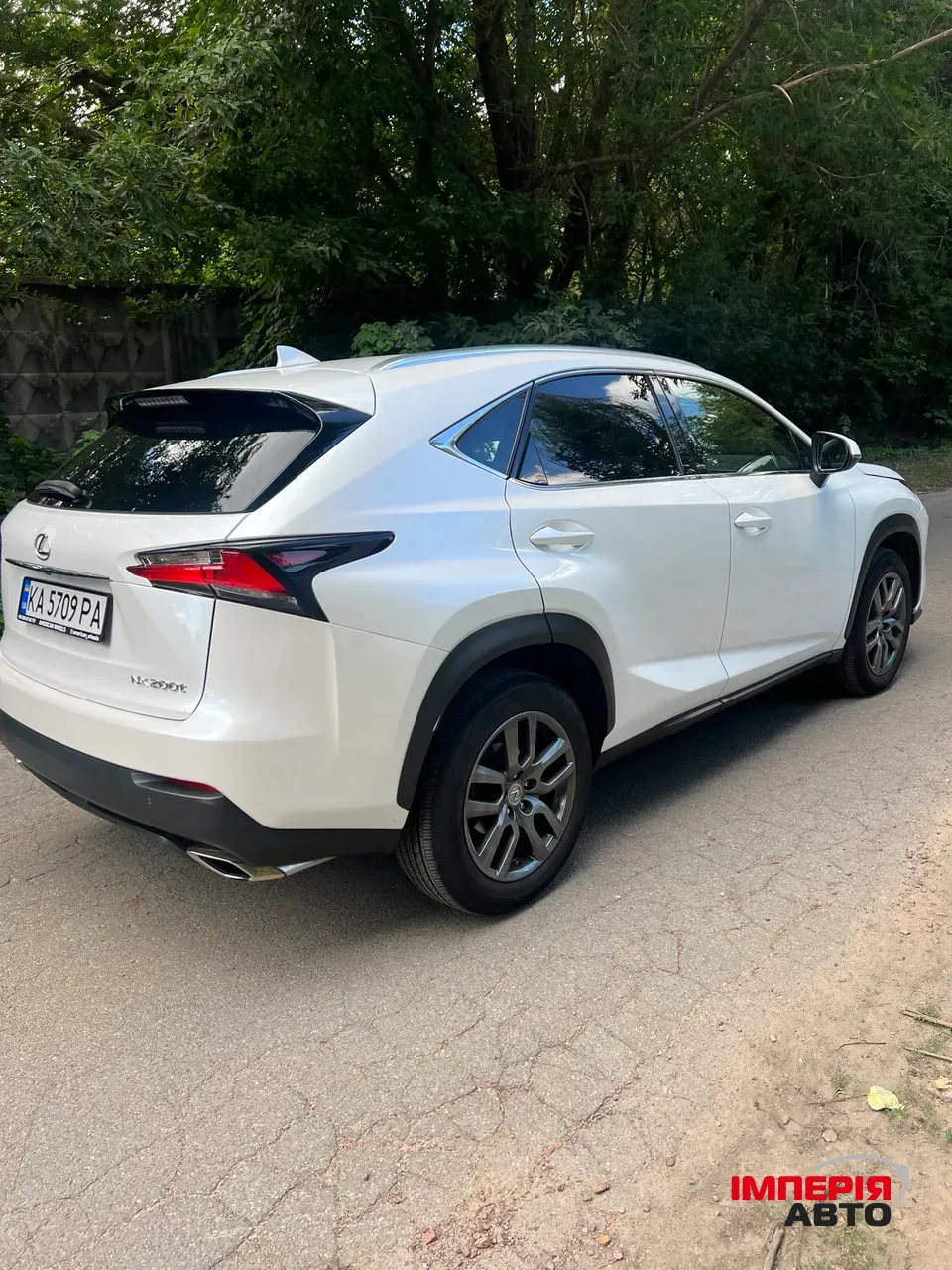 Lexus NX - фото 4