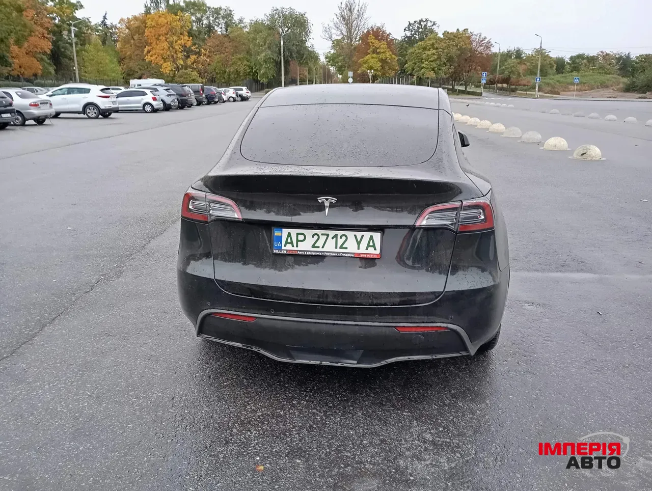 Tesla Model Y - фото 8