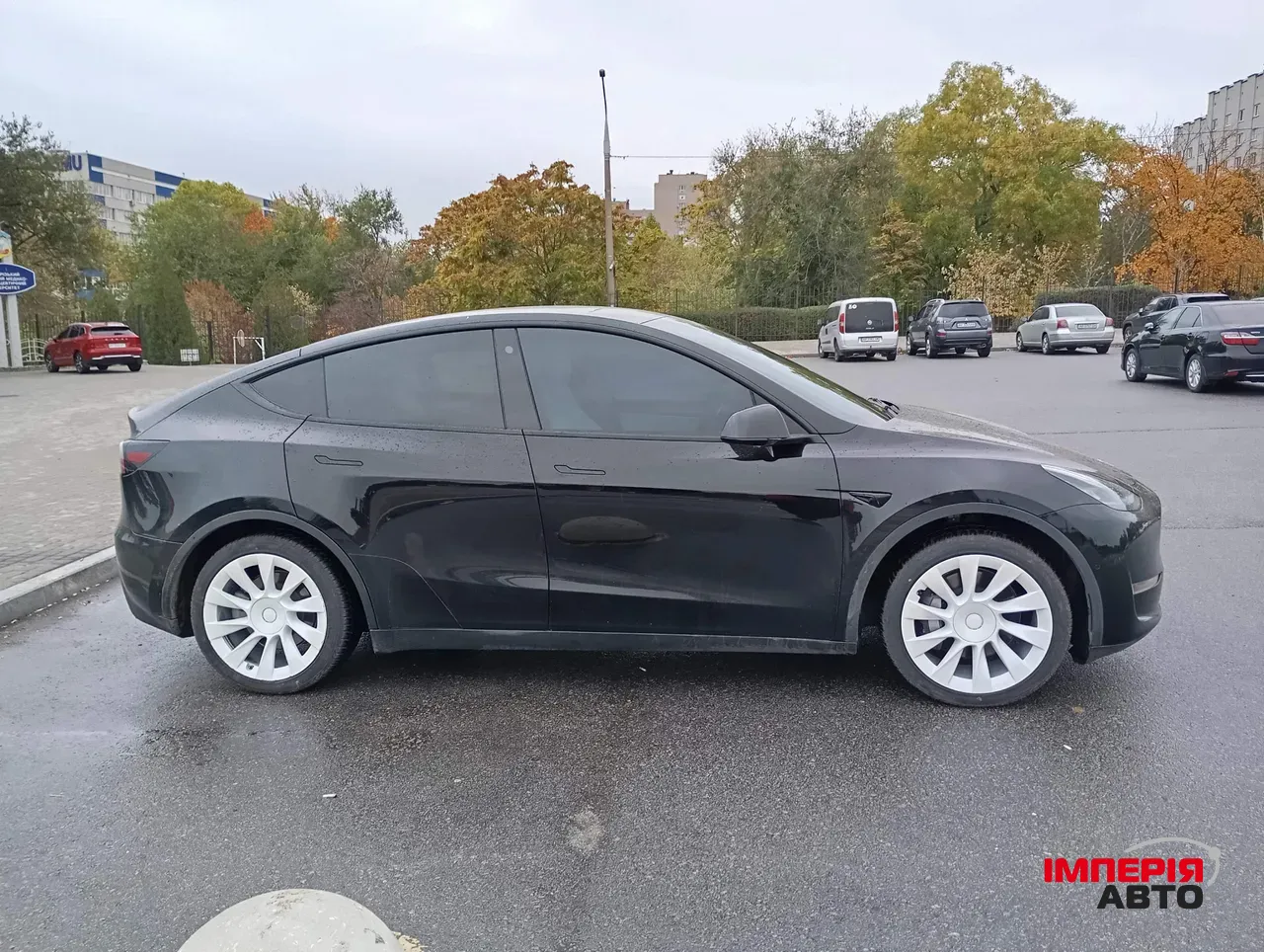 Tesla Model Y - фото 4