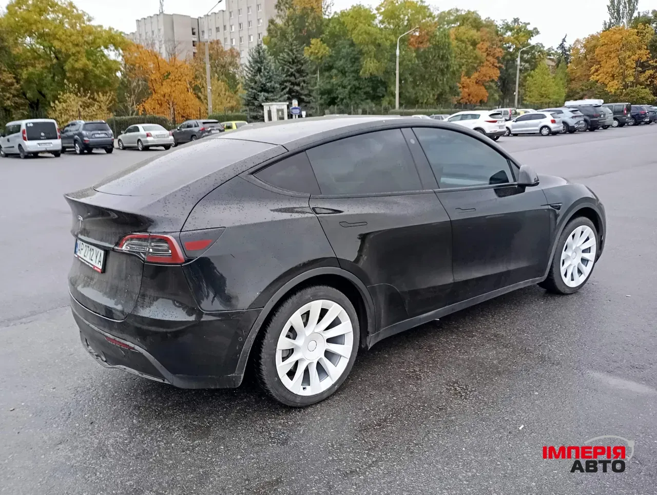 Tesla Model Y - фото 6