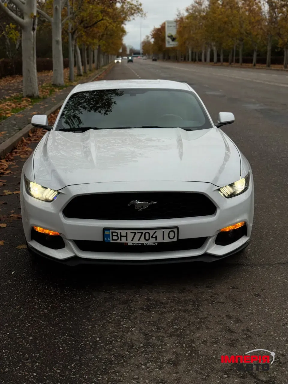 Ford Mustang - фото 2