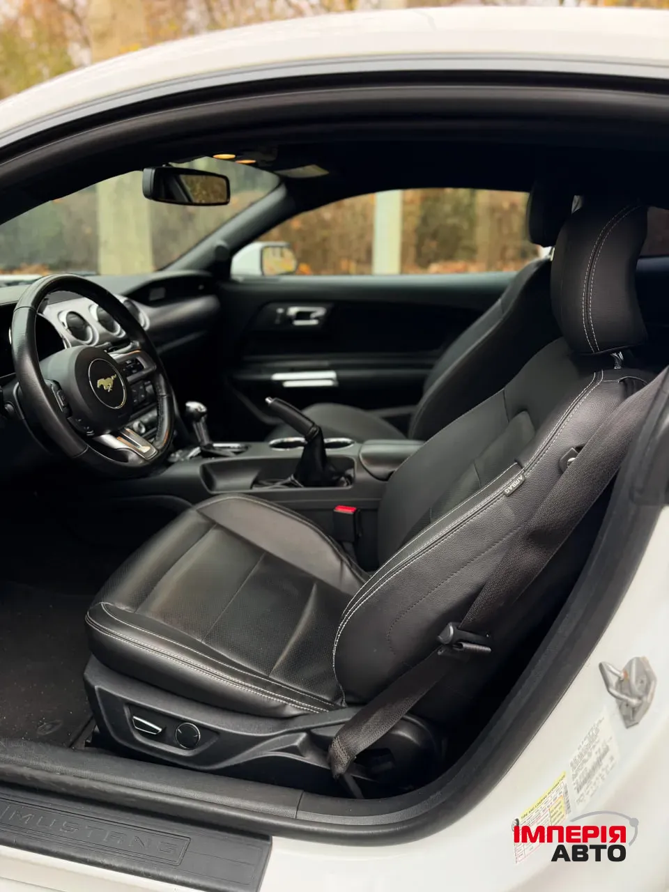 Ford Mustang - фото 10