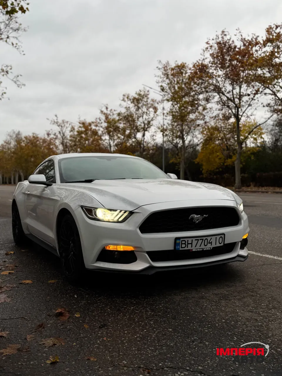 Ford Mustang - фото 3