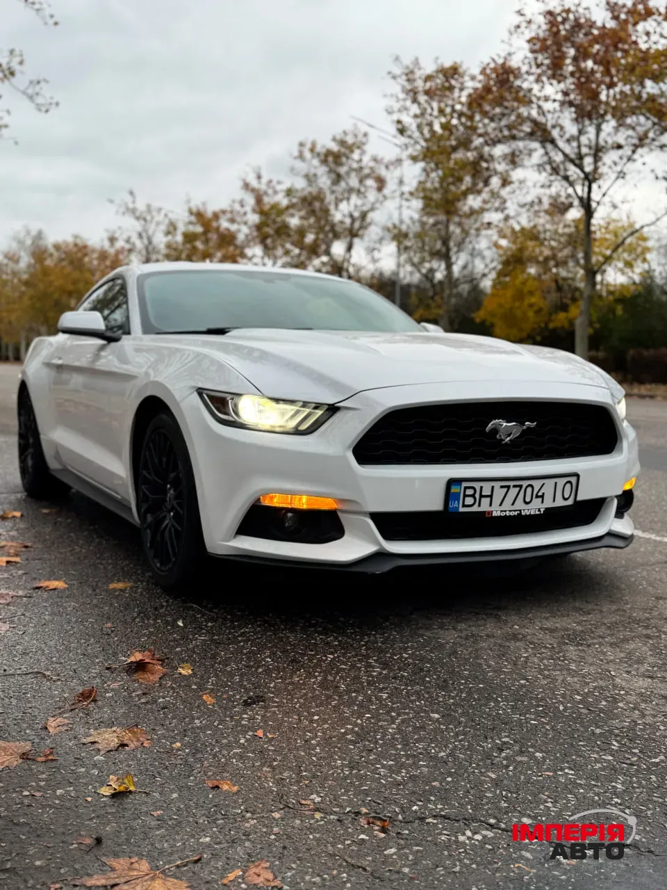 Ford Mustang - фото 4