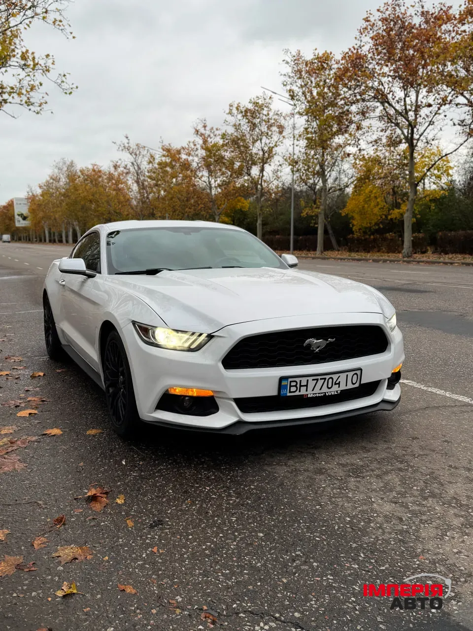Ford Mustang - фото 8