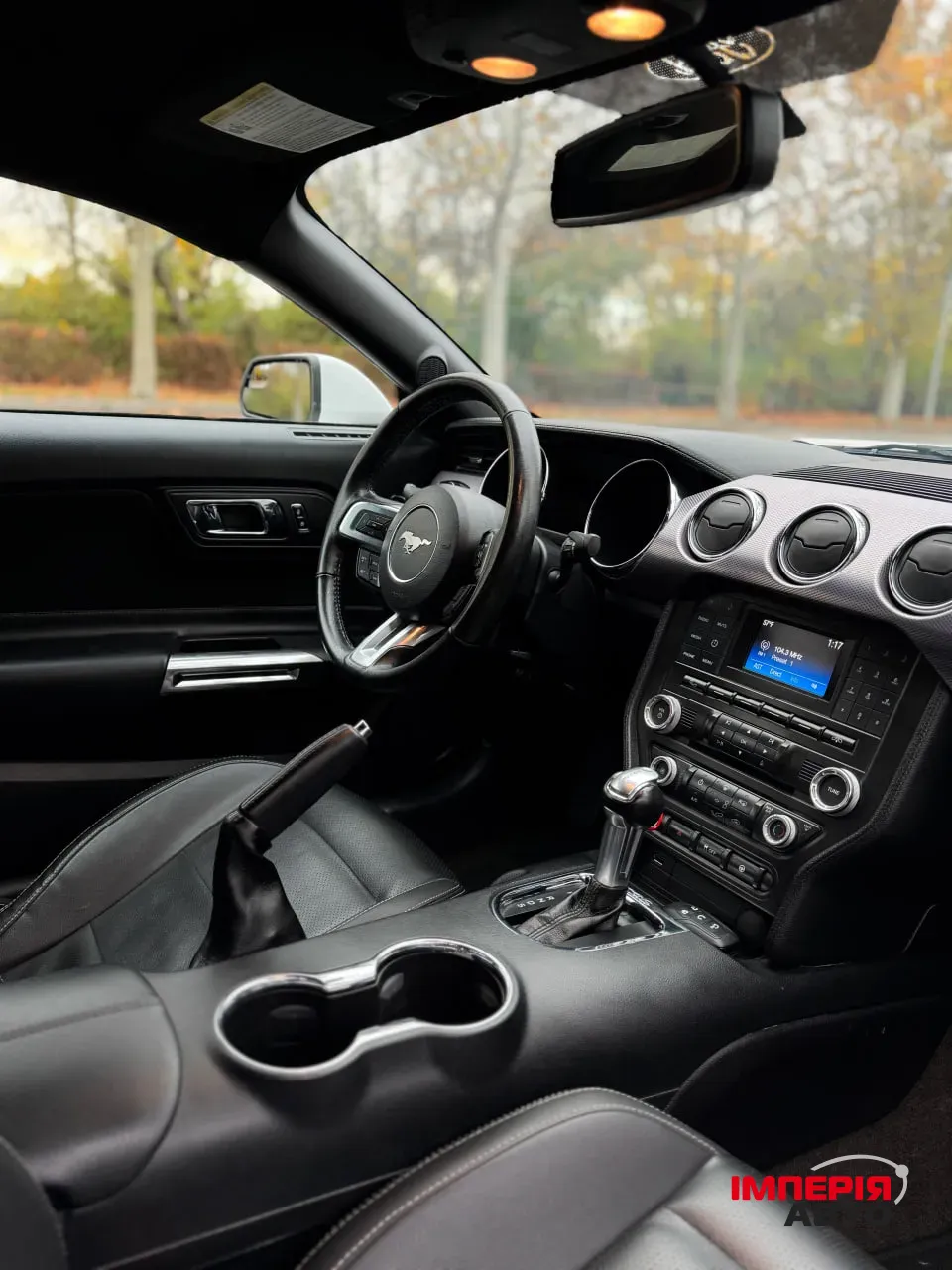 Ford Mustang - фото 13