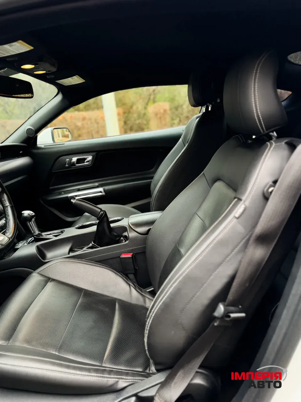 Ford Mustang - фото 12