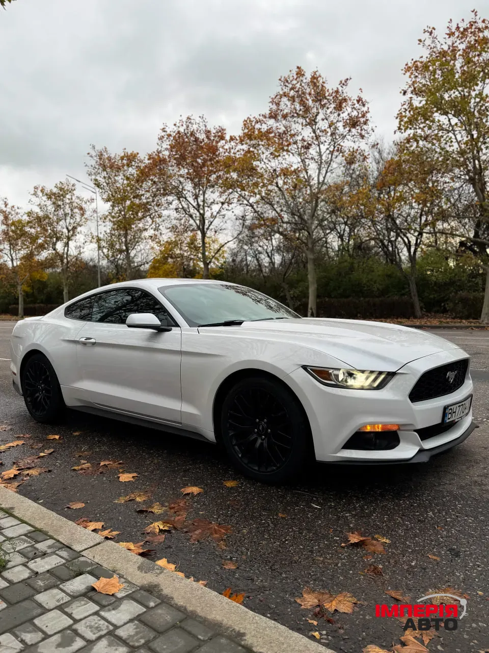 Ford Mustang - фото 1