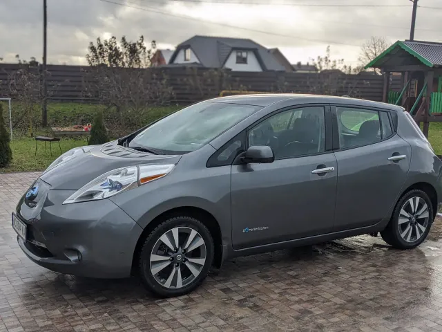 Nissan Leaf - фото 1