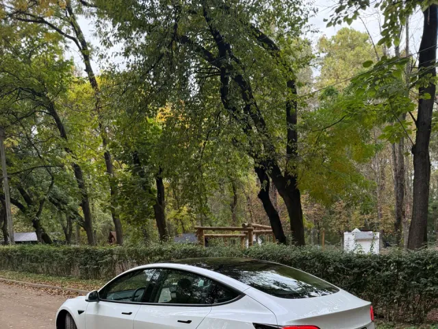 Tesla Model 3 - фото 3