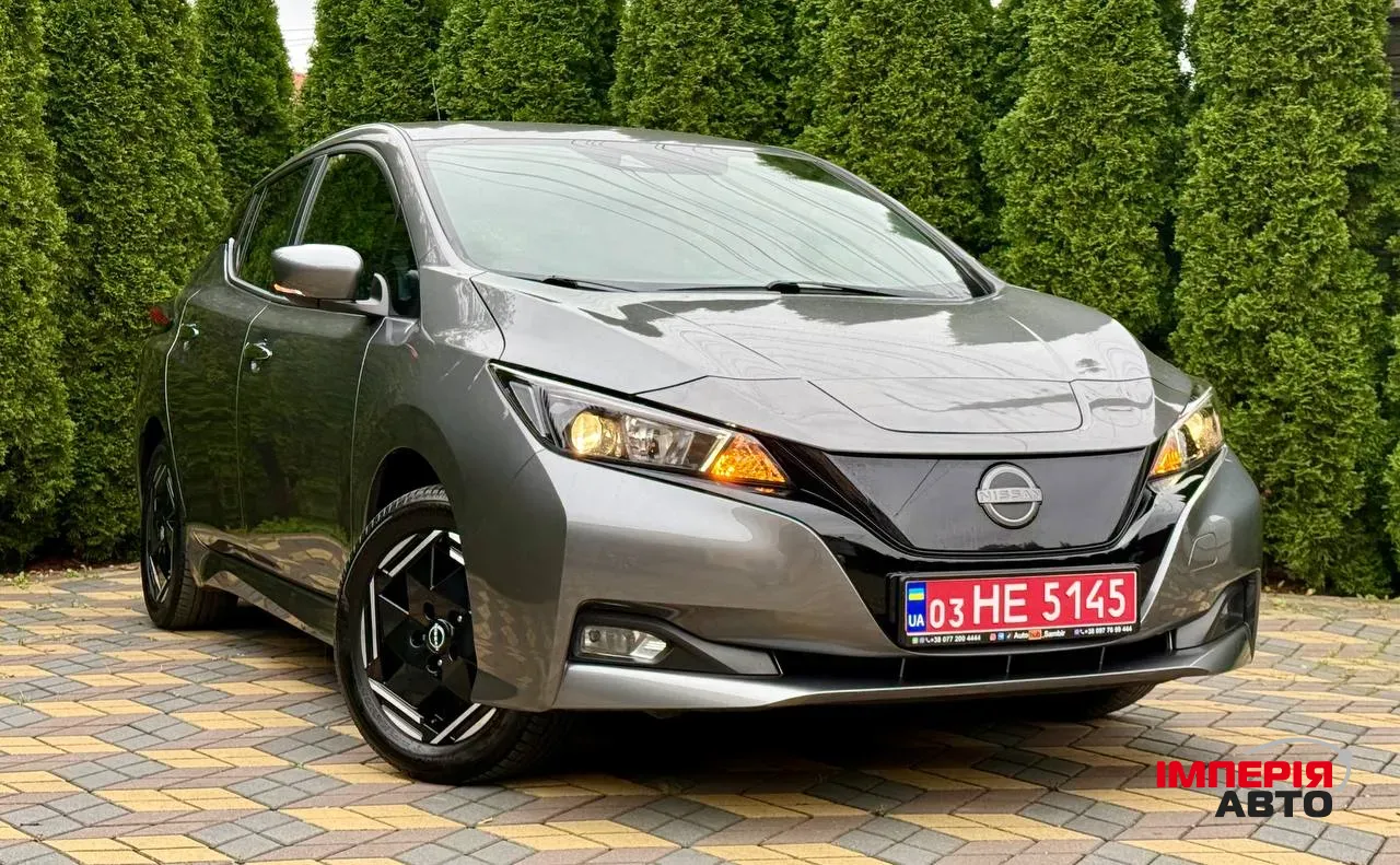 Nissan Leaf - фото 1