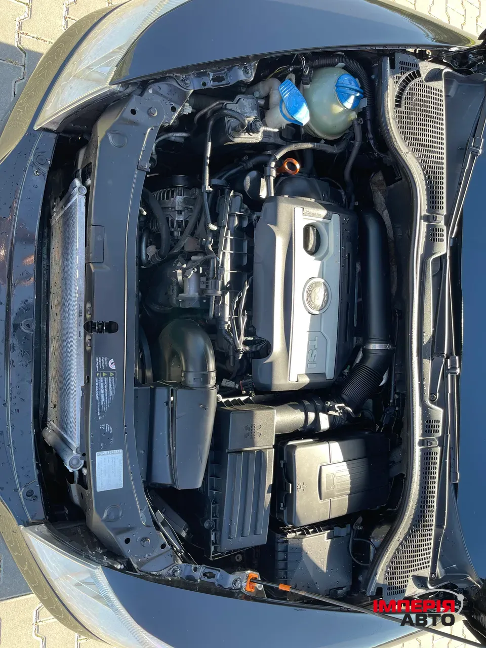 Skoda Octavia - фото 11