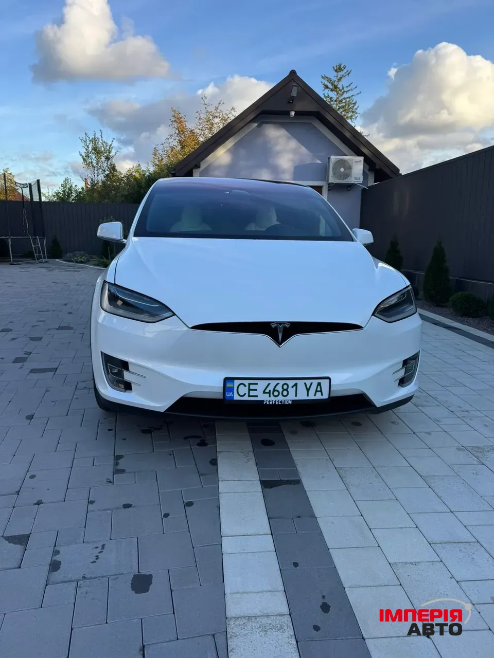 Tesla Model X - фото 1